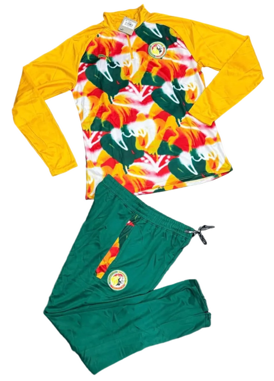 Ensemble Survêtement loisirs Senegal (Jaune/vert) 2026 SMSSC06