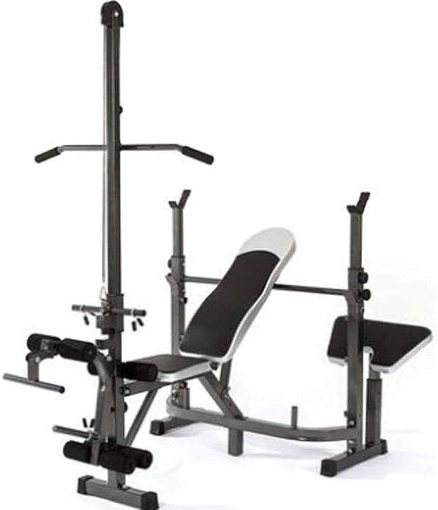 Support d’haltères multifonctionnel à haute traction Squat Rack Bench Press Fitness