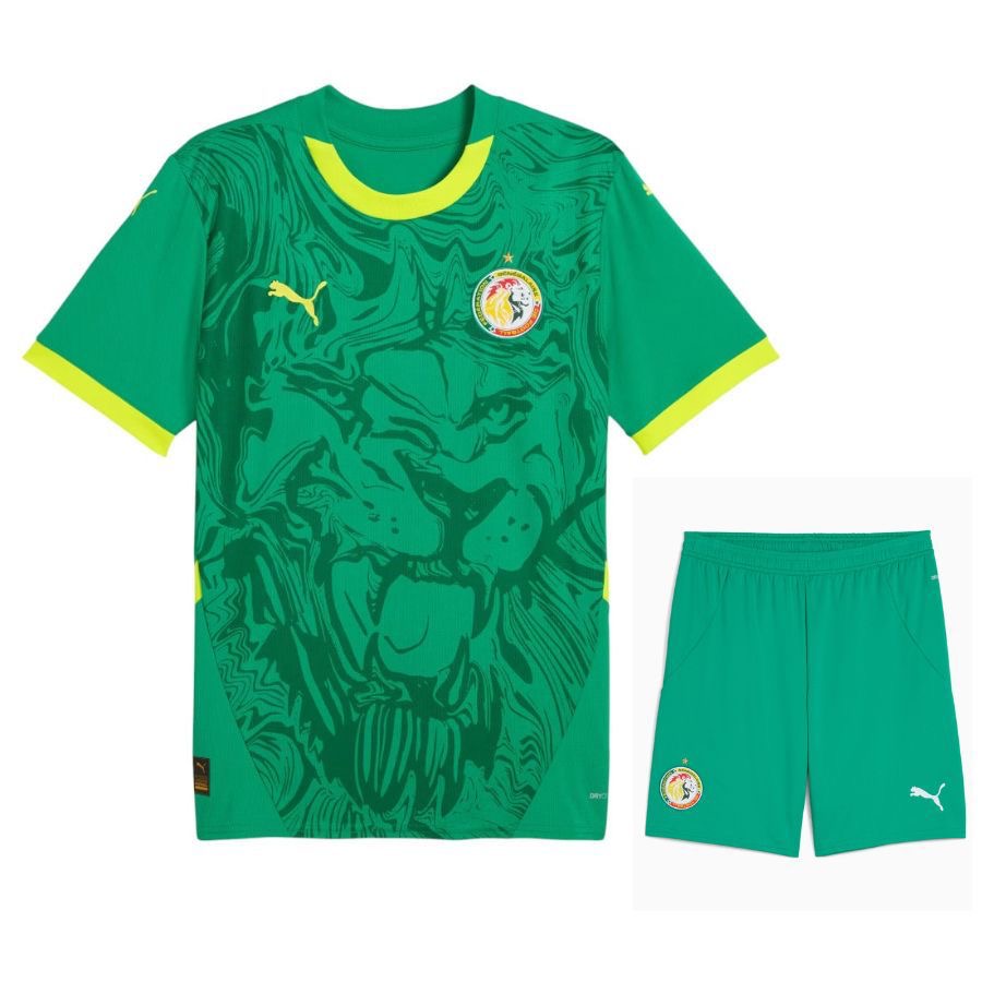 Ensemble Maillot Sénégal (Lions de la Teranga) pour Enfants Extérieur (vert) 2025-2026