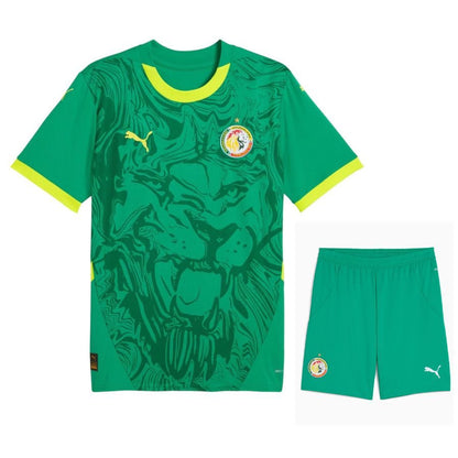 Ensemble Maillot Sénégal (Lions de la Teranga) pour Enfants Extérieur (vert) 2025-2026