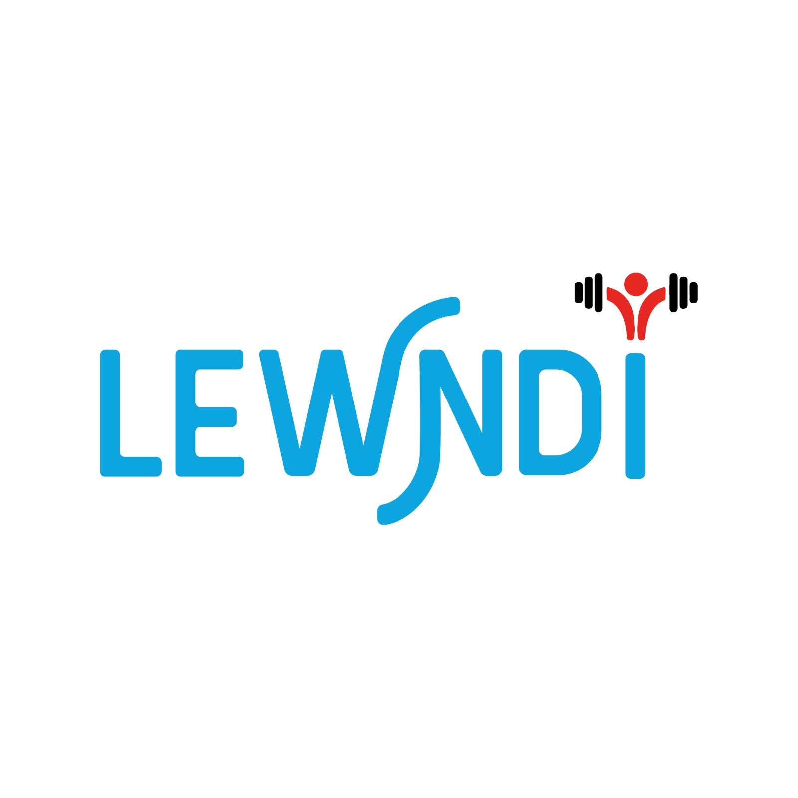 Lewndi store logo