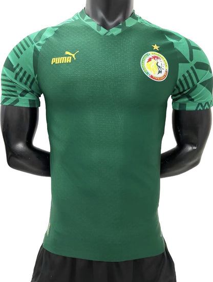 Maillot Sénégal loisir vert  Saison 2023